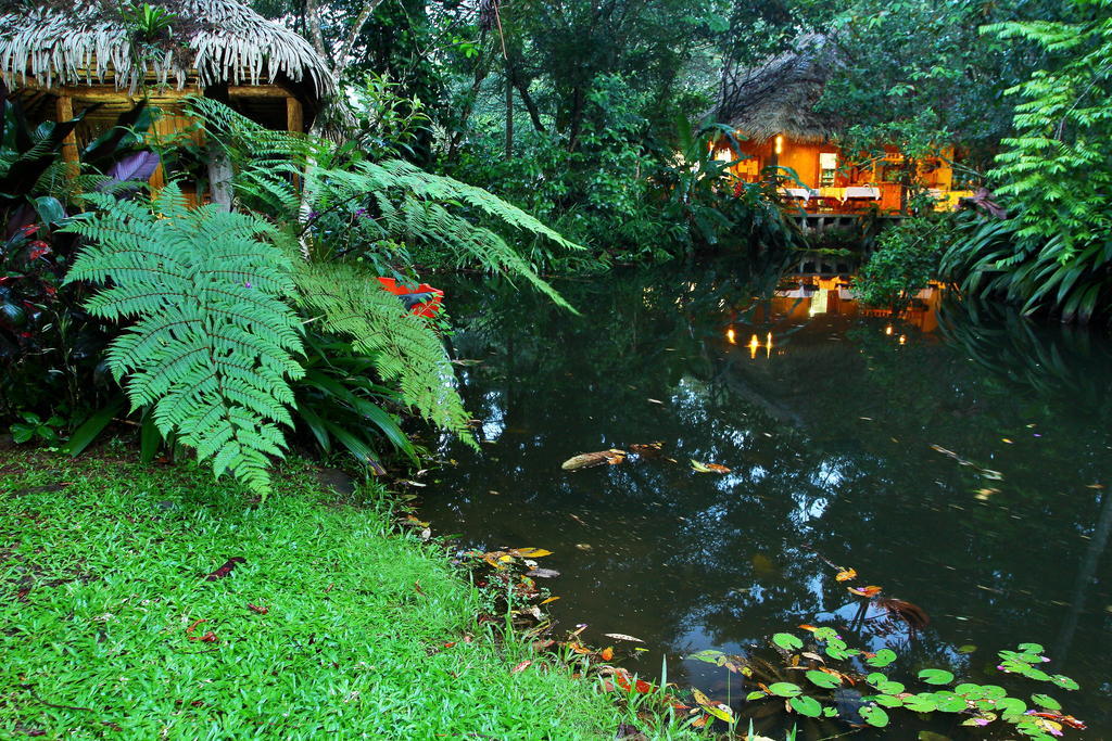 Hacienda La Isla Lodge Sarapiqui Bagian luar foto