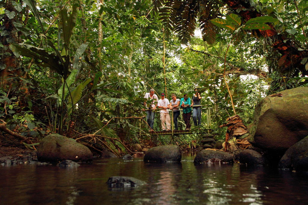 Hacienda La Isla Lodge Sarapiqui Bagian luar foto