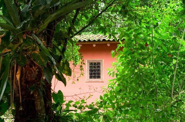 Hacienda La Isla Lodge Sarapiqui Bagian luar foto